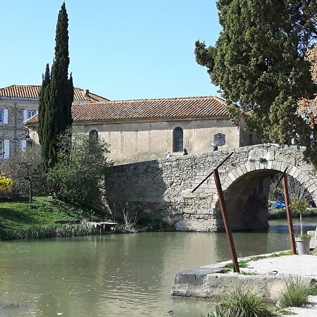 Saint-Nazaire-d'Aude La Vigne Des Heures Claires المظهر الخارجي الصورة