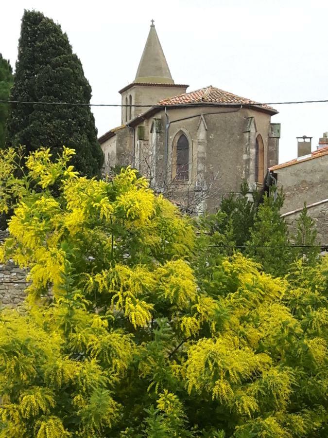 Saint-Nazaire-d'Aude La Vigne Des Heures Claires المظهر الخارجي الصورة